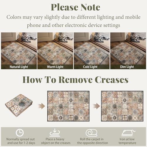 Washable Small Area Rugs for Entryway: 2x3 Door Mat Indoor Entrance - Image 4