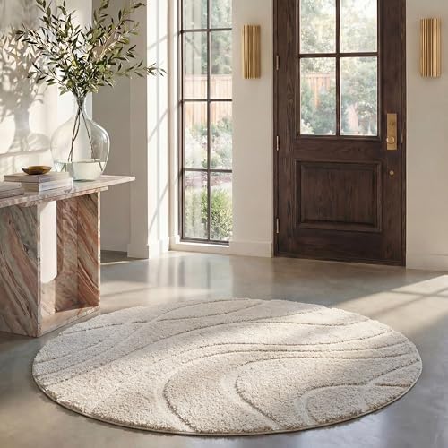 SAFAVIEH Florida Shag Round Rug 4', Soft Plush Modern Cream SG471-1111 by Unknown