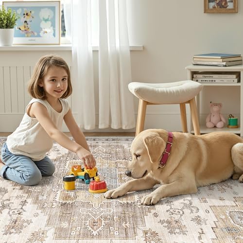 befbee Area Rug for Living Room 6x9, Boho Carpet Machine Washable Rug Brown - Image 7