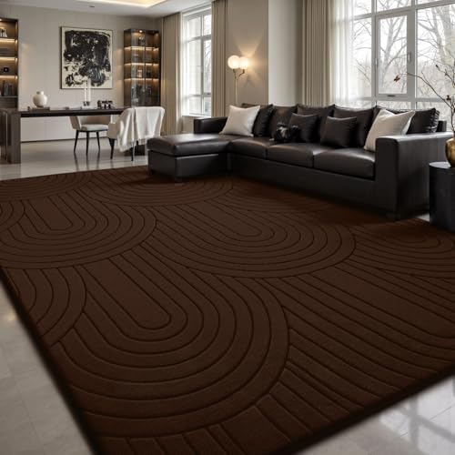 Sour Lemon 5x7 Area Rugs for Living Room Bedroom, Washbale Carpet Coffee by SourLemon