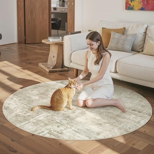 Soalmost Abstract 6x6 Round Rug 6ft Circle Living Room Rugs, Beige/Gray - Image 3