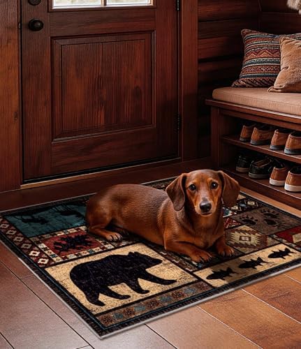 YIHOUSE Washable Rustic Cabin Area Rug 2 x 3 Entryway - Image 5