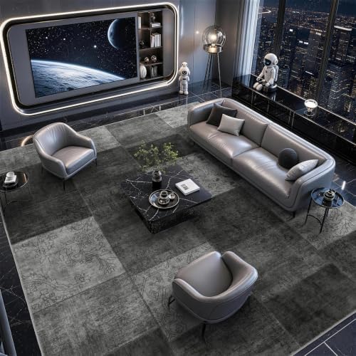LIANLAM Silver Infused Washable Area Rug for Living Room(6x9,Black) by LIANLAM