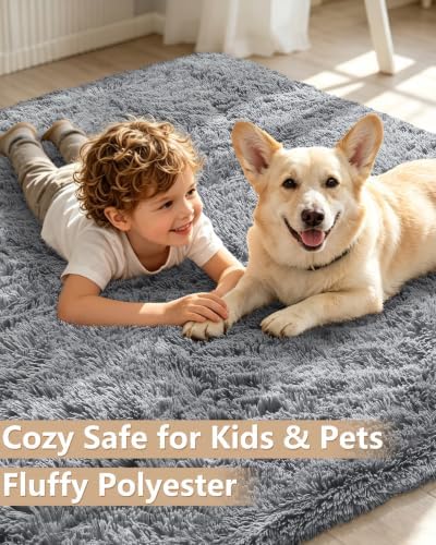 Smiry Area Rugs for Living Room Bedroom 3x5 ft, Fluffy Washable Carpet - Image 3