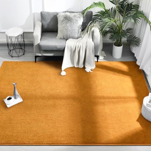FlyDOIT Area Rugs for Bedroom Living Room, 5x8 Orange Super Soft Comfy Thickened Memory-Foam Indoor Carpets, Modern Aesthetic Minimalist Carpet for Boys Girls Adults Apartment Nursery Home Décor - Image 2
