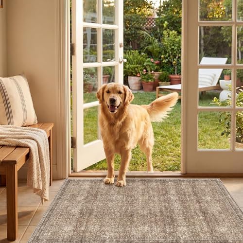 Sasttie 2x3 Area Rugs, Ultra-Soft Washable Rug for Living Room, Dark Brown - Image 3