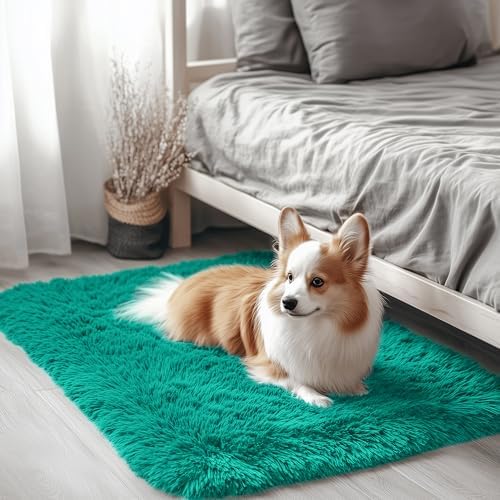 OLANLY 2x3 Machine Washable Small Bedside Rug, Soft Fluffy Shaggy Entryway Throw Rugs for Bedroom, Living Room, Indoor Floor Carpet for Kids Girls and Boys, Home Decor Aesthetic, Teal Green by OLANLY