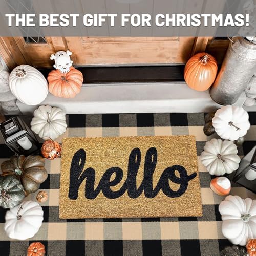 IOHOUZE 4x6 Buffalo Plaid Outdoor Rug, Washable Front Porch, Tan Black - Image 2