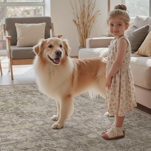 DCX Washable 5x7, Kid & Pet Friendly with Rubber Back Non Slip, Stain Resistant Vintage Rug for Living Room, Bedroom, Home Office, Soft Low Pile Large Farmhouse Distressed Carpet, Greige - Image 6