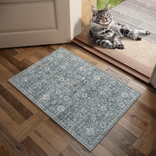 Washable Small Area Rugs for Entryway: 2x3 Door Mat Indoor Entrance - Image 2
