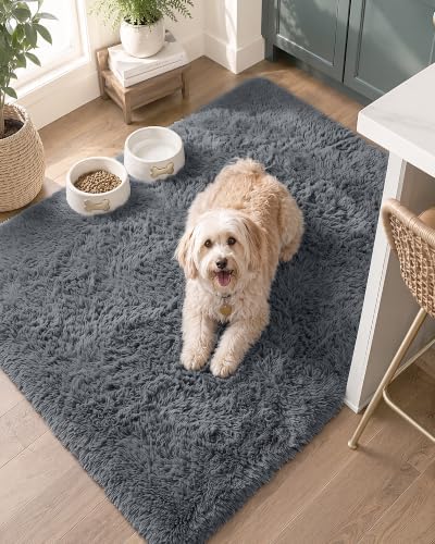 OLANLY 3x4 Machine Washable Accent Rug, Soft Fluffy Shaggy Area Rug for Bedroom, Living Room, Indoor Floor Carpet for Kids, Nursery, Home Decor, Grey by OLANLY