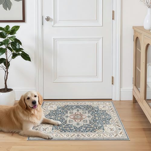 cotiled 2x3 Area Rug for Living Room, Washable, Traditional, Vintage Blue - Image 7