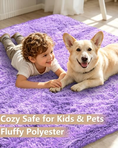 Smiry Area Rugs for Living Room Bedroom 2x3 ft, Fluffy Washable Carpet - Image 3