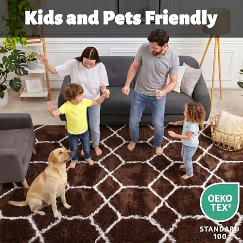 6x9 Area Rugs for Living Room Bedroom, Fluffy Brown and White Geometric Rug - Image 3