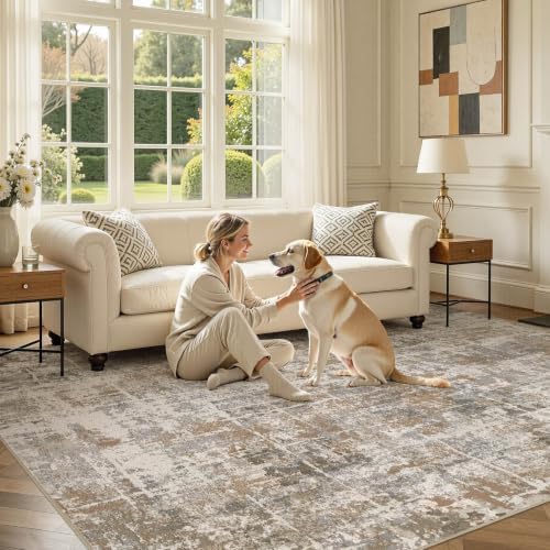 DMOYEST Area Rug Living Room Rugs 8x10 Washable Abstract Carpet - Image 6