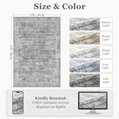 Grey Entryway Rug Indoor, 2x3 Small Door Rugs for Entry Way/Kitchen/Bathroom, Washable Non Slip Low Pile Thin Door Mat Indoor Entrance, Vintage Neutral Gray and Ivory Rug with Decorative Fringe - Image 2