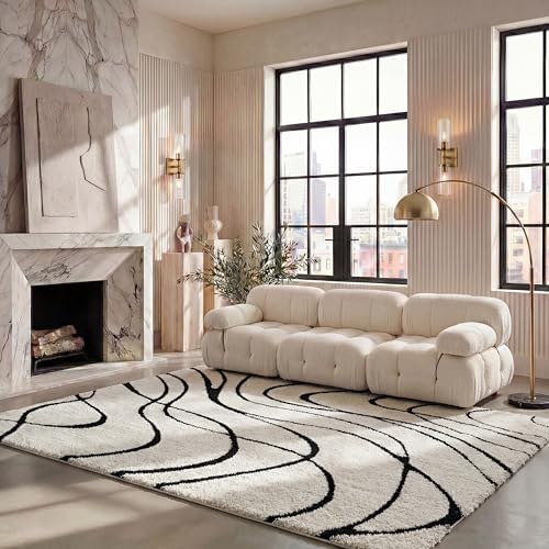 SAFAVIEH Florida Shag Rug 6'x8', Soft Plush Modern Ivory & Black SG471-1290 by Unknown