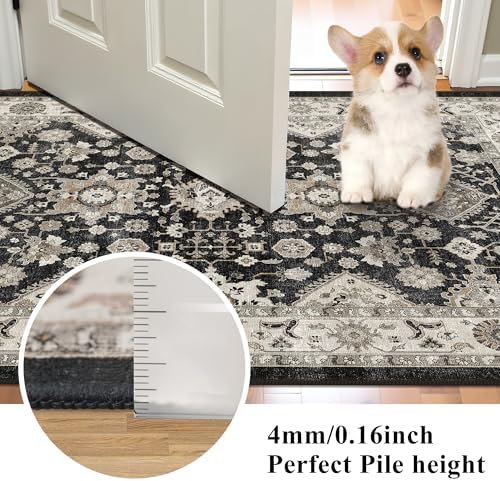 Washable Black Entry Rug: 3x4 Rugs for Kitchen Entryway Bathroom Non-Slip - Image 5