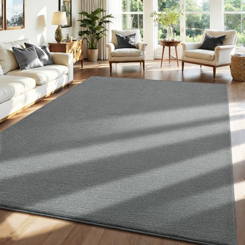 ISEAU 6x9 Soft Area Rug for Living Room, Washable and Non-Slip, Grey by ISEAU