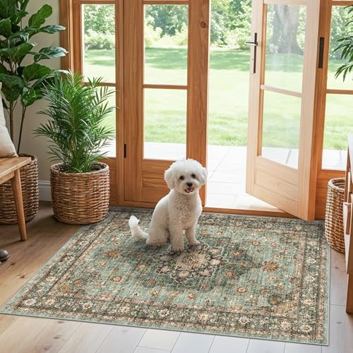 3x4 Rugs for Kitchen Entryway Bathroom: Non Slip Thin Door Mat Small Runner by TOPRUUG