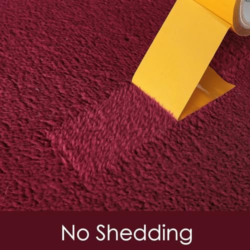 AROGAN 5x7 Area Rugs for Living Room Non Slip Dorm Bedroom Rug, Wine Red - Image 7