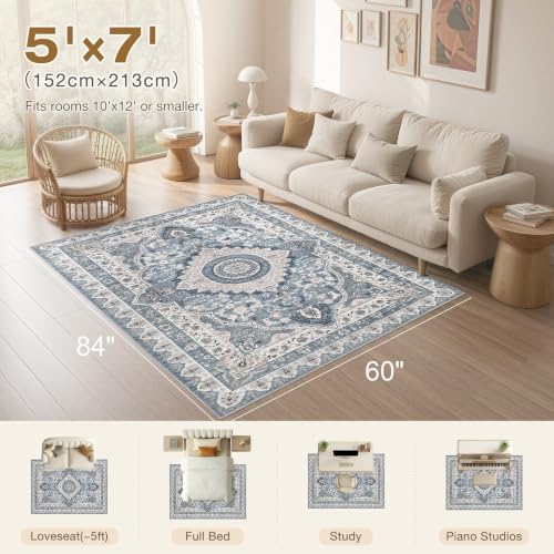 Washable 5x7 Area Rugs: Blue Rug for Living Room - Image 2