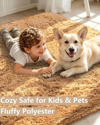 Smiry Area Rugs for Living Room Bedroom 2x3 ft, Fluffy Washable Carpet - Image 3