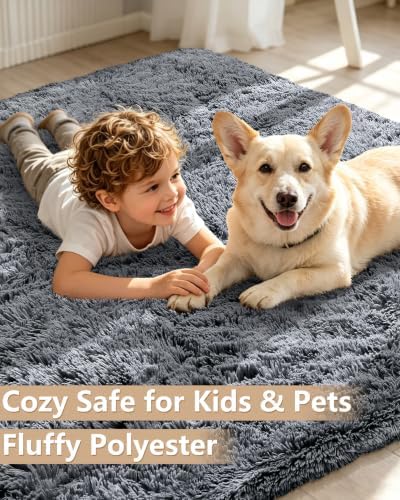 Smiry Area Rugs for Living Room Bedroom 3x4 ft, Fluffy Washable Carpet - Image 3
