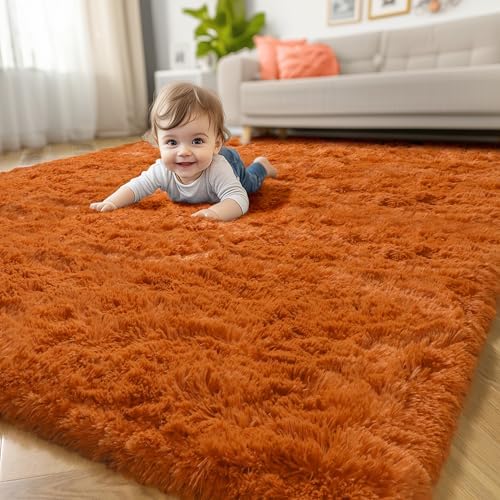 Amdrebio Burnt Orange Fluffy Shag Rust Small Area Rug 3x5 for Bedroom Dorm by Amdrebio