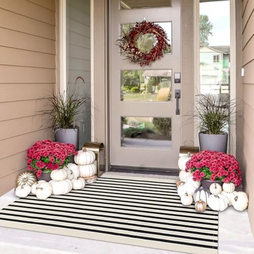 IOHOUZE 3x5 Striped Outdoor Rug, Washable Front Porch, Black Beige by iOhouze