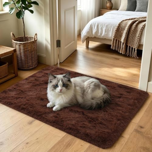 3x5 Brown Fluffy Soft Area Rug Non-Slip for Bedroom Entryway Living Room - Image 2