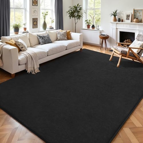 AROGAN 4x6 Area Rugs for Living Room Non Slip Dorm Bedroom Rug, Dark Grey by AROGANAREARUG