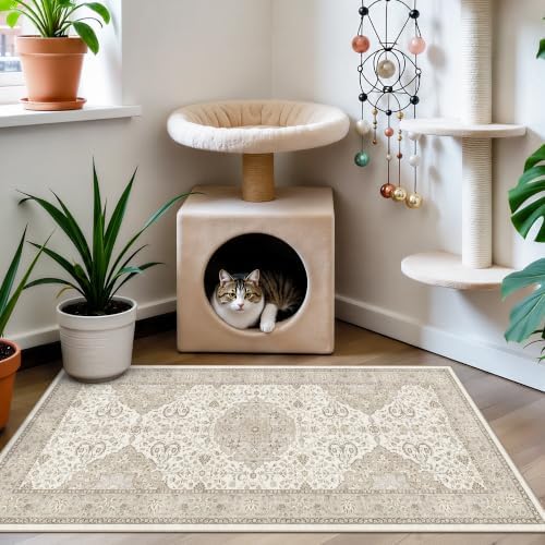 HY HAOYUNLAI Washable 2x3 Entryway Area Rug Non-Slip Slim-Profile Carpet - Image 4
