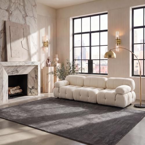 SAFAVIEH Revive Area Rug 6x8, Charcoal REV102H by Unknown
