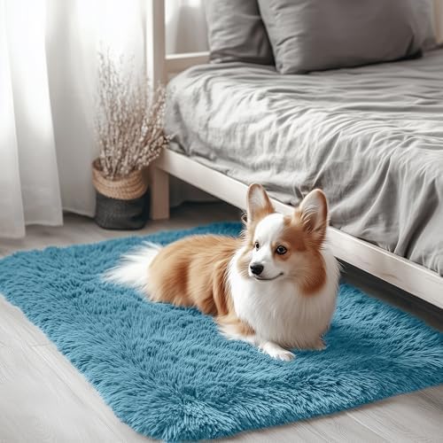 OLANLY 2x3 Machine Washable Small Bedside Rug, Soft Fluffy Shaggy Entryway Throw Rugs for Bedroom, Living Room, Indoor Floor Carpet for Kids Girls and Boys, Home Decor Aesthetic, Slate Blue by OLANLY