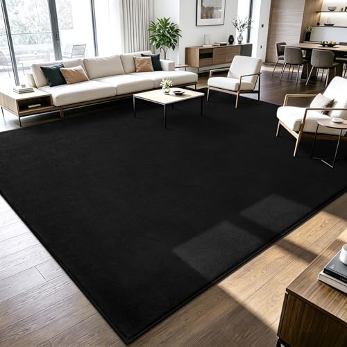 ISEAU 8x10 Soft Area Rug for Living Room, Washable and Non-Slip,Black by ISEAU