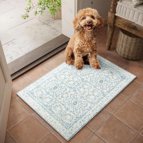 Washable Small Area Rugs for Entryway: 2x3 Door Mat Indoor Entrance by NoiFamo