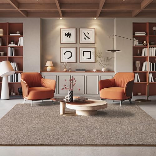 AROGAN 4x6 Area Rugs for Living Room Non Slip Dorm Bedroom Rug, Matte Brown - Image 6