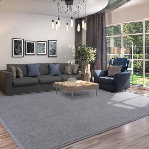 AROGAN 4x6 Area Rugs for Living Room Non Slip Dorm Bedroom Rug, Grey - Image 7