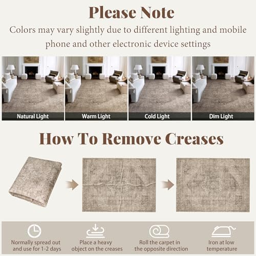 Washable Small Area Rugs for Entryway: 2x3 Door Mat Indoor Entrance - Image 5