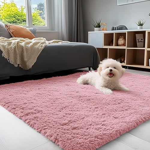 OLANLY 3x5 Machine Washable Small Bedside Rug, Soft Fluffy Shaggy Rugs for Living Room, Bedroom, Indoor Floor Carpet for Kids Girls and Boys, Preppy Dorms, Nursery, Home Decor Aesthetic, Pale Pink by OLANLY