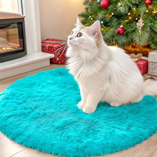 OLANLY Teal Blue Round Rugs for Bedroom - Machine Washable, 2 ft Circle Area Rugs for Living Room, Soft and Fluffy Shaggy Carpet for Teen Girls and Boys, Nursery Rooms, Dorms, Home Decor Aesthetic by OLANLY