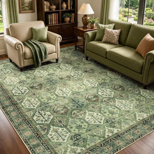 Lofus 5x7 Area Rugs for Living Room Bedroom, Vintage Distressed Light Green by Lofus
