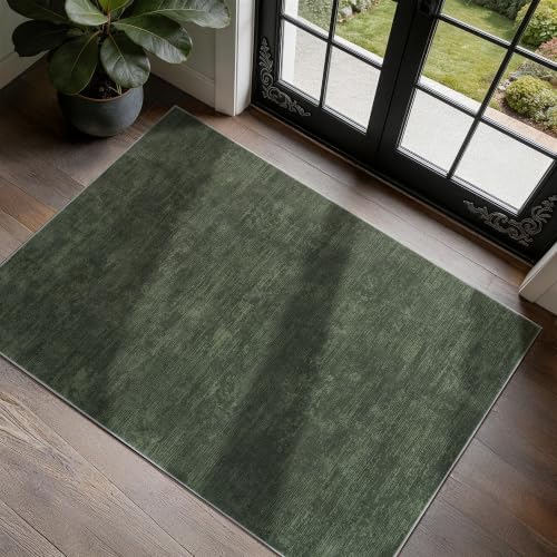 2x3 Washable Mat,Small EntryWay Rugs,Stainproof Non-Slip for Indoor Entranc by LIANLAM