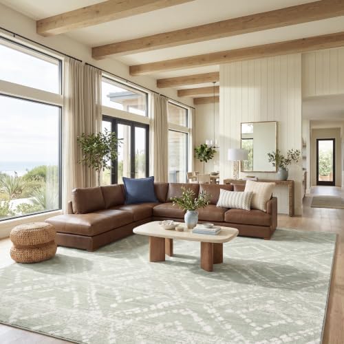SAFAVIEH Adirondack Area Rug 9'x12', Boho Green & Ivory ADR131Y by Unknown