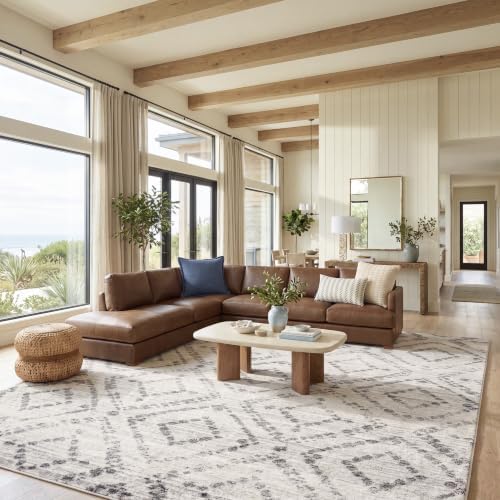 SAFAVIEH Adirondack Area Rug 9'x12', Boho Light Grey & Grey ADR131C by Unknown