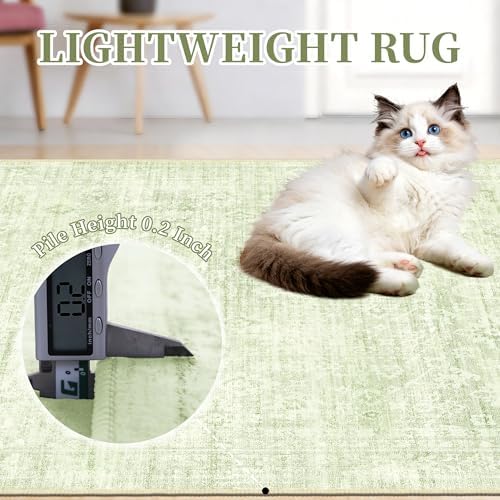 8x10 Living Room Rug Green, Non Slip Neutral Area Rugs for Bedroom, Nursery - Image 6
