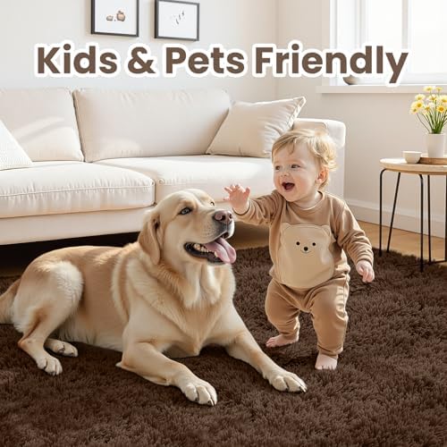 5x8 Fluffy Shag Area Rugs for Living Room Bedroom: Soft Plush Carpet Brown - Image 3