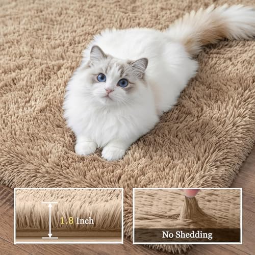 Area Rug Living Room Bedroom: 4x6 Fluffy Plush Shag Carpet Beige - Image 5