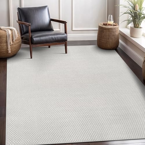 CAMILSON Easy Jute Rug 5x7, Indoor Outdoor Off-White Farmhouse Area Rugs for Living Room Patio and Kitchen Rug, Solid Woven Design, Easy-Cleaning, Washable Outside Carpet Alfombras (5 x 7) by CAMILSONIndoorOutdoorAreaRugs